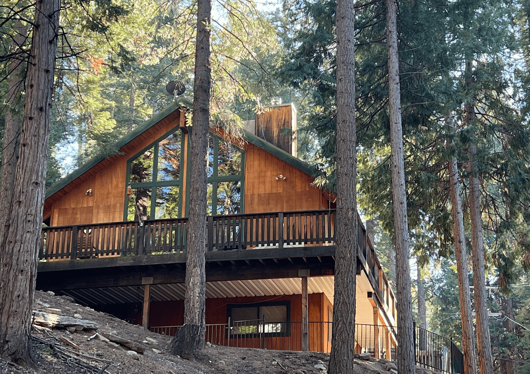 Austins & Rosenkranzes — Cabin 389, photo 4