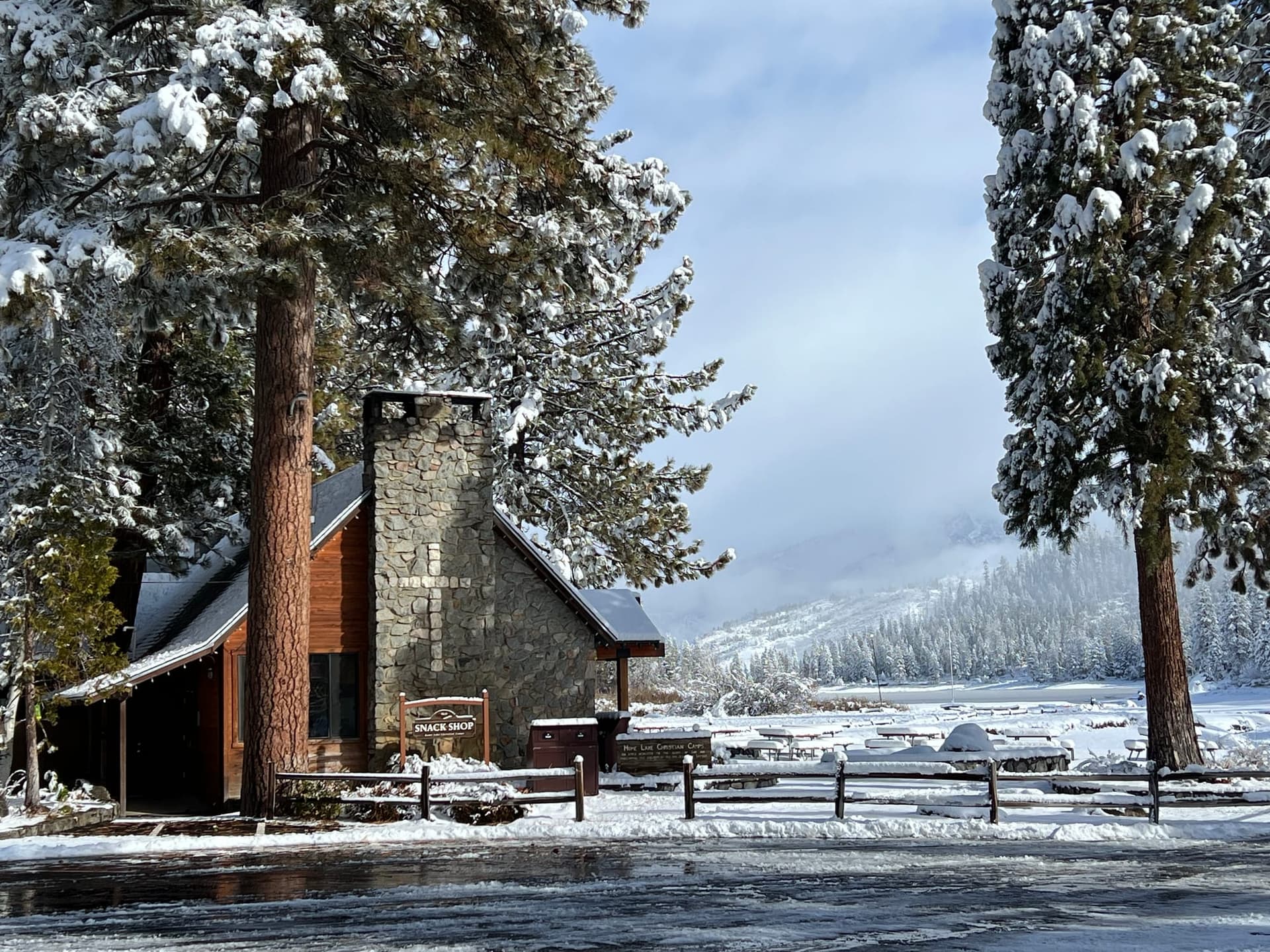 Austins & Rosenkranzes — Cabin 389, photo 2