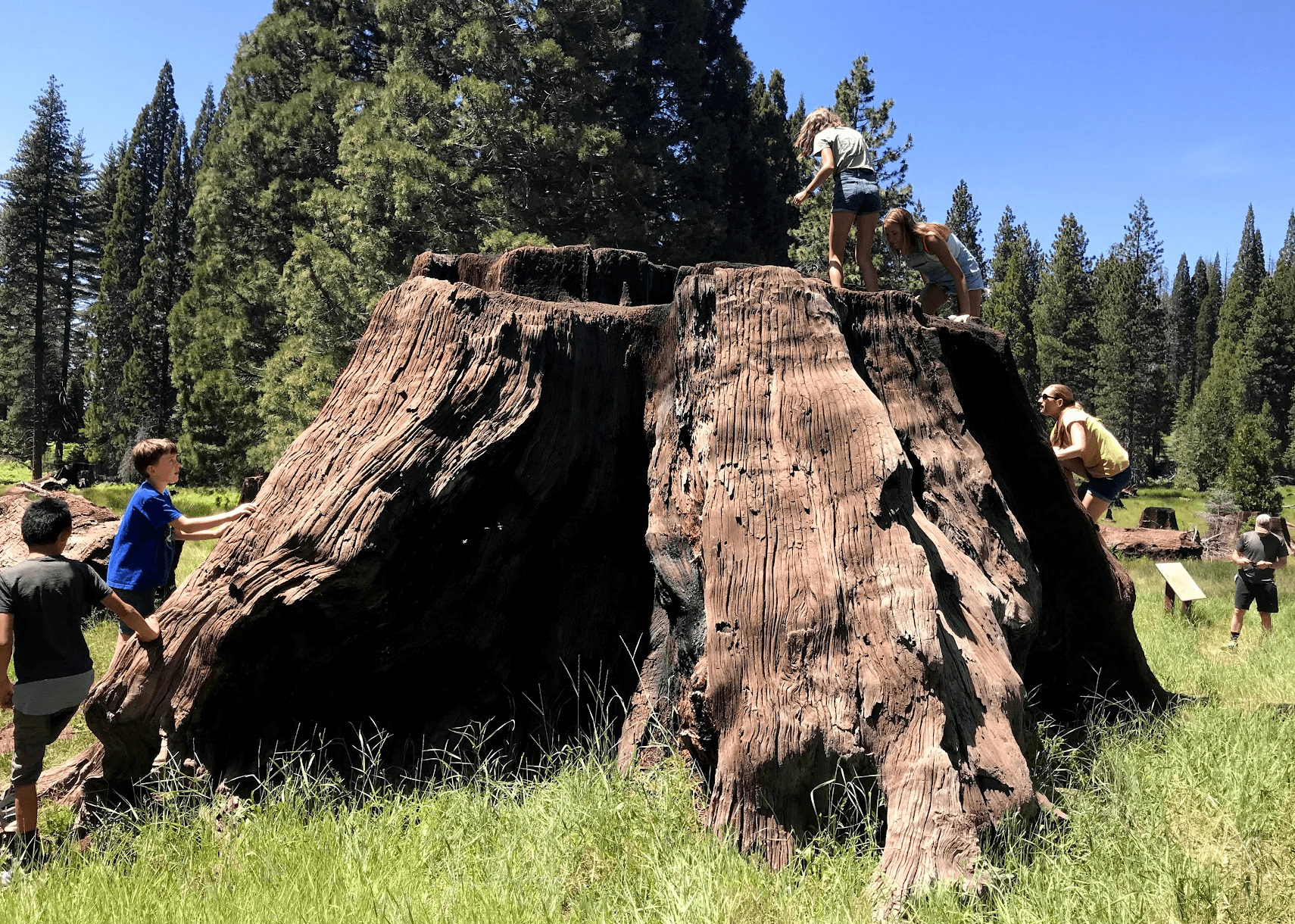 Austins & Rosenkranzes — Cabin 389, photo 3