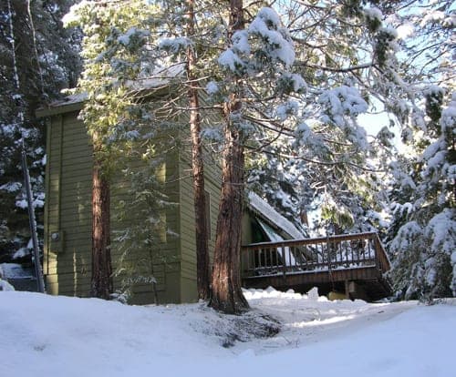 Pauline Willems — Cabin 80, photo 4