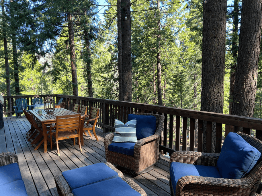 Austins & Rosenkranzes — Cabin 389, photo 5