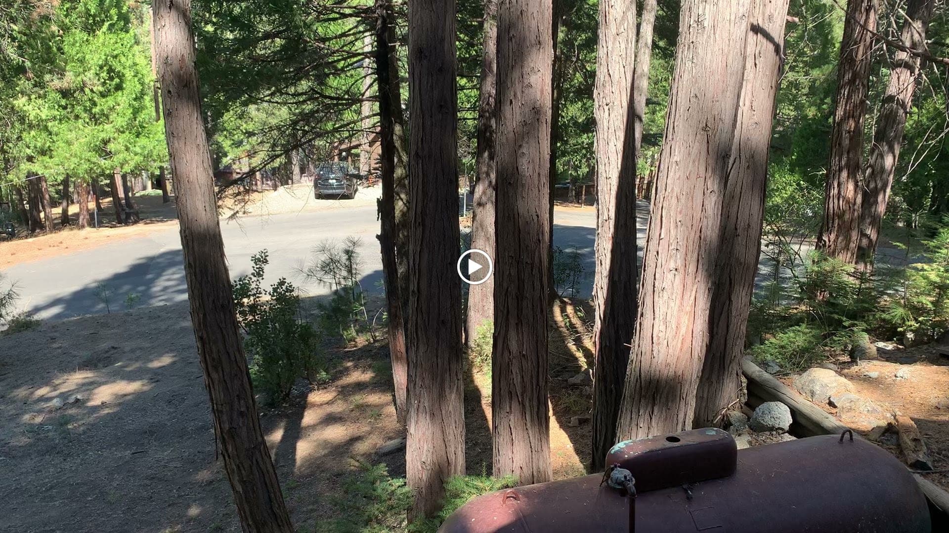 Chris Moore — Cabin 90A, photo 5